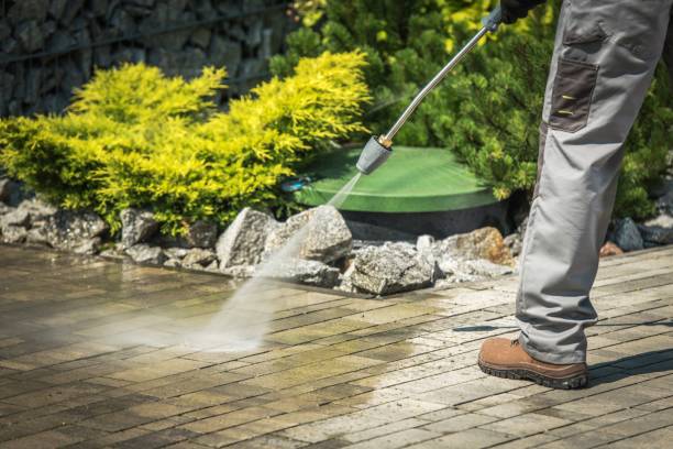 Best Boat and Dock Cleaning  in Mbrian Park, CA